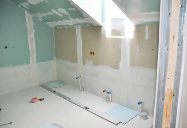 Best Crawl Space Mold Remediation  in Haslett, MI