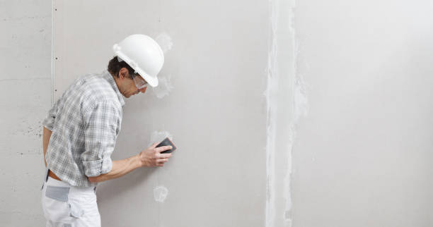 Best Residential Mold Inspection & Testing  in Haslett, MI
