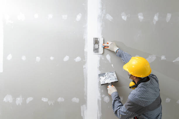 Best HVAC Mold Inspection and Cleaning  in Haslett, MI