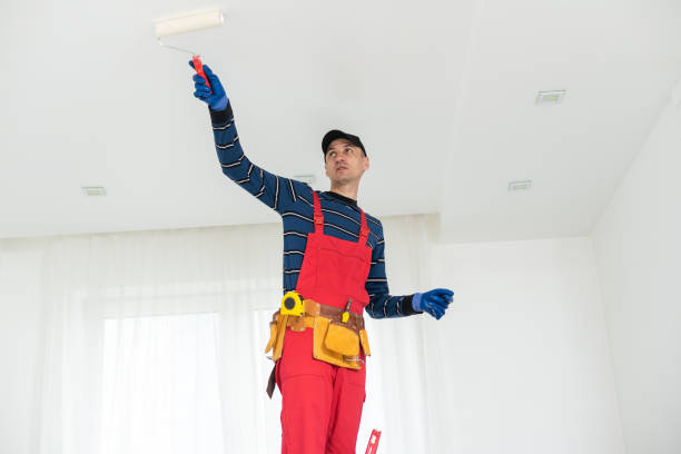 Reliable Haslett, MI Mold Removal Solutions