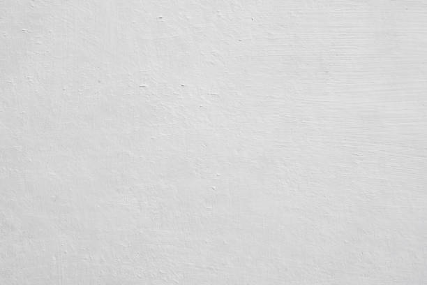 Best Basement Mold Removal  in Haslett, MI