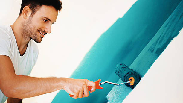 Best Mold Odor Removal Services  in Haslett, MI