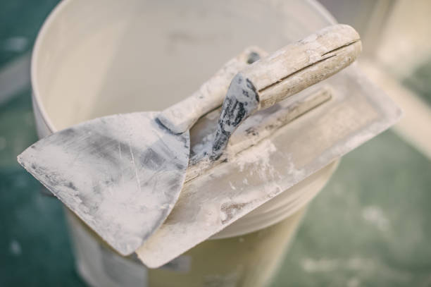 Best Emergency Mold Remediation  in Haslett, MI